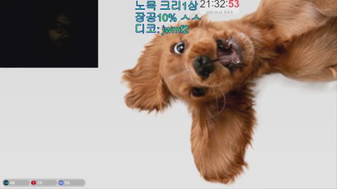 처음부터 키웁니다.. 글클메 Day 10 짬프